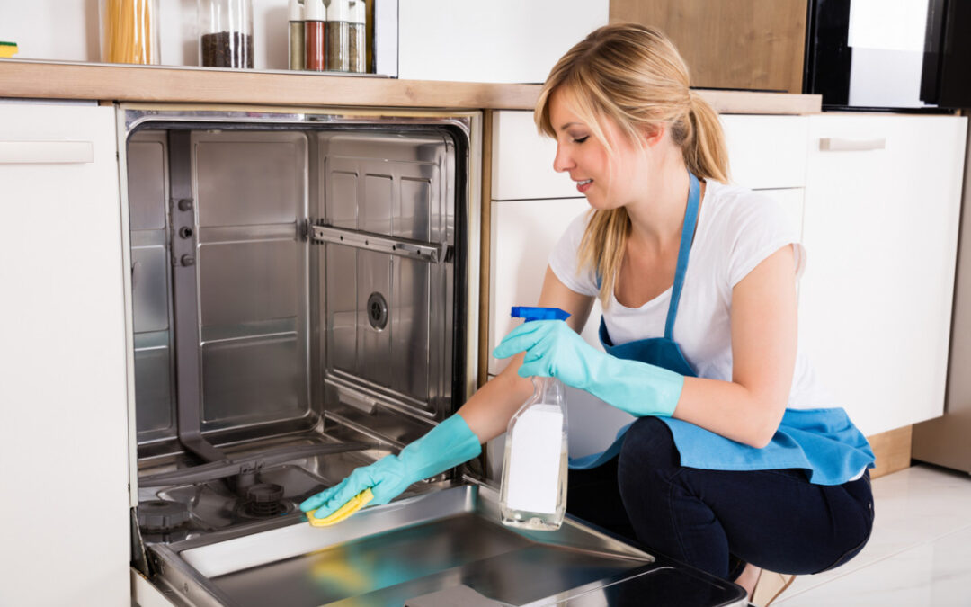 How to Clean Samsung Dishwasher Easily in 8 Steps (with Maintenance Tips!)